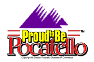 Who wouldn't be proud to live in a city with a flag this classy?