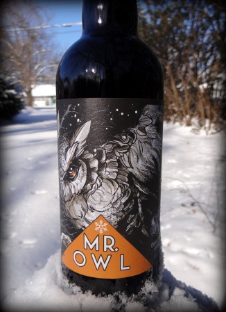 Mr Owl_Snow