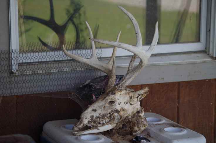 Hoof Hearted Brewing, enter at your own peril.