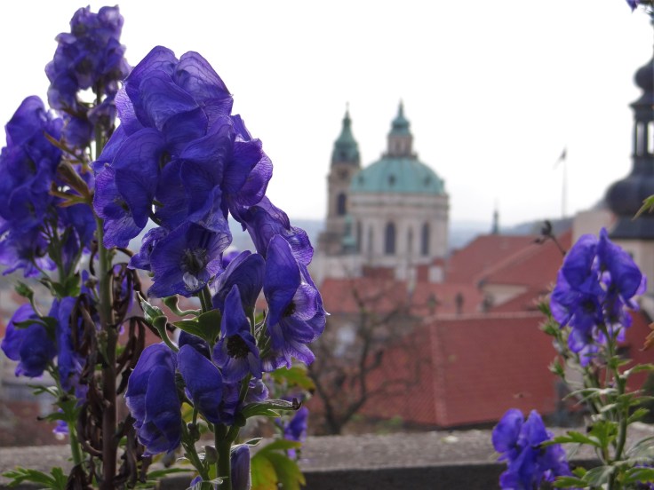 Prague from the Castle