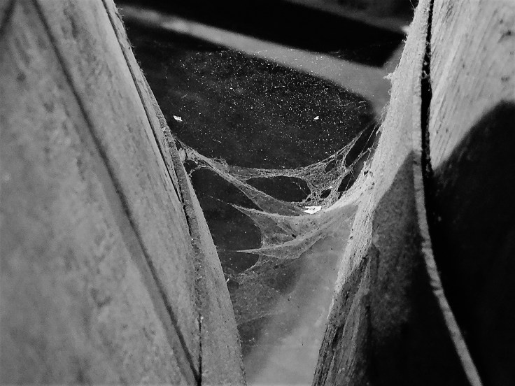 Cantillon Cobwebs