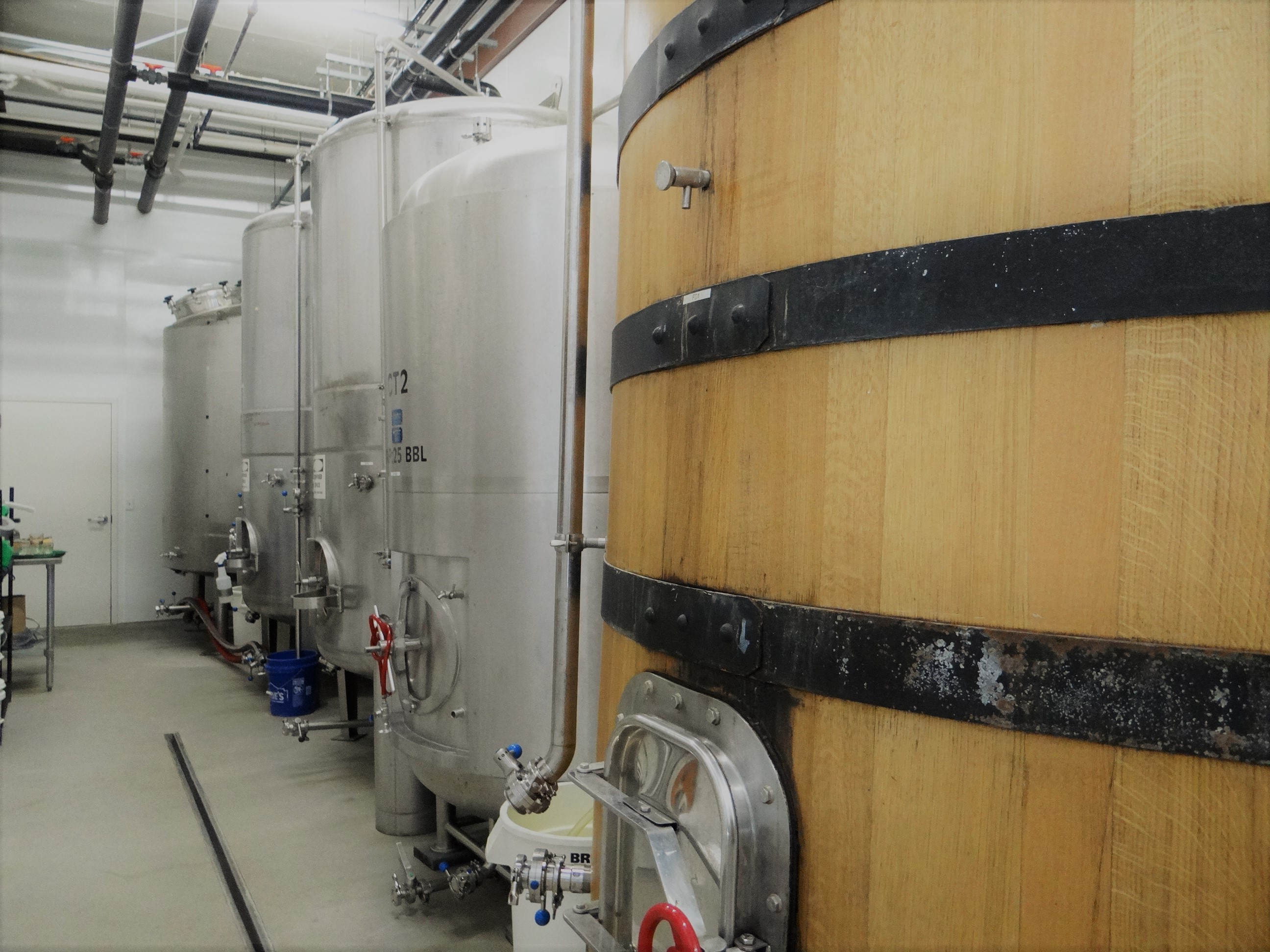 Foeder and Berliner Culture