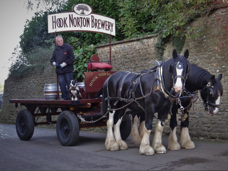 Hook Norton Draft Horses