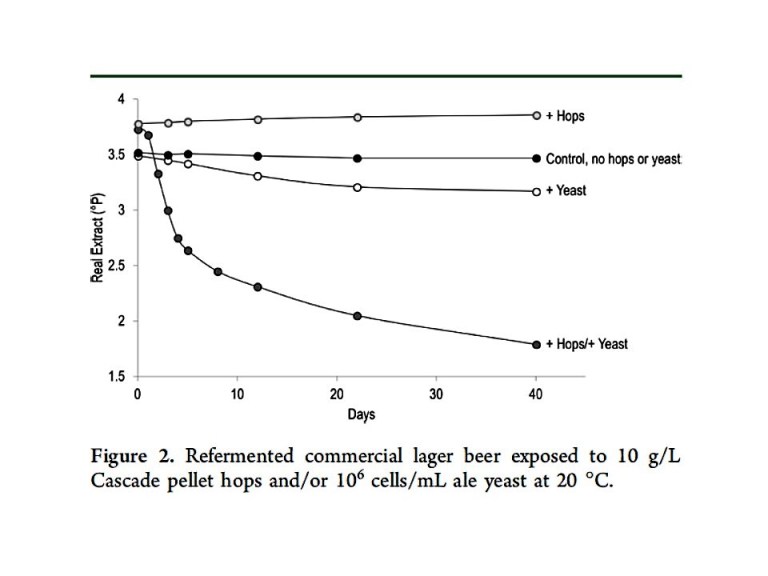 Tom Shellhammer The Surprising Science of Dry Hopping – Lessons from Tom Shellhammer ...